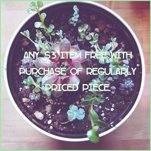 🌵 SPECIAL $3 Item free with purchase!🌵